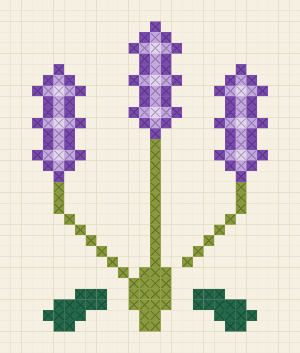Chart of three lavender flower spikes with beaded purple buds over narrow grey green leaves