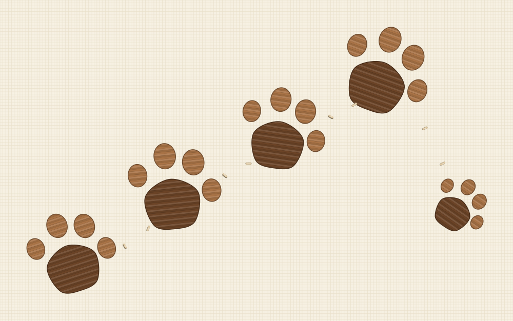 Cat paw print embroidery pattern with five prints of different sizes walking diagonally across the fabric on a seeded trail