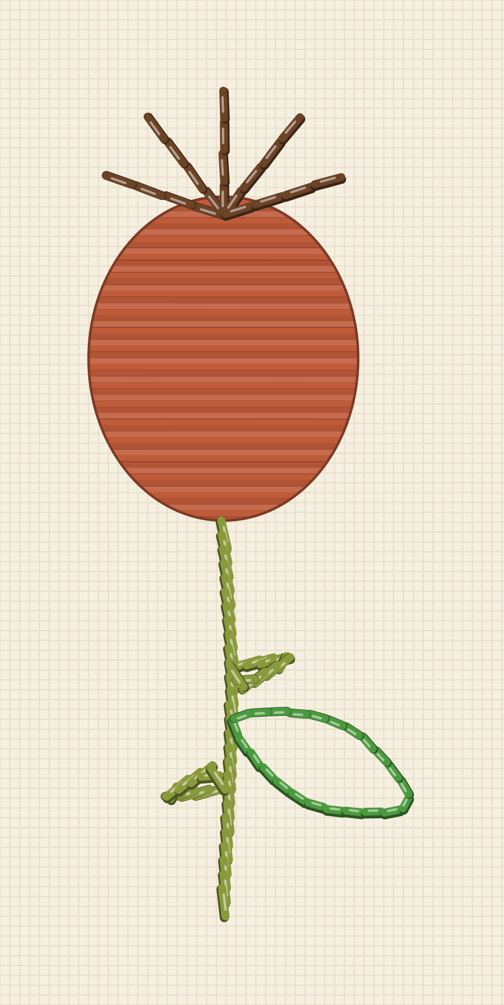 Rose hip embroidery pattern showing the round autumn fruit with its dried crown of five points on a thorned stem