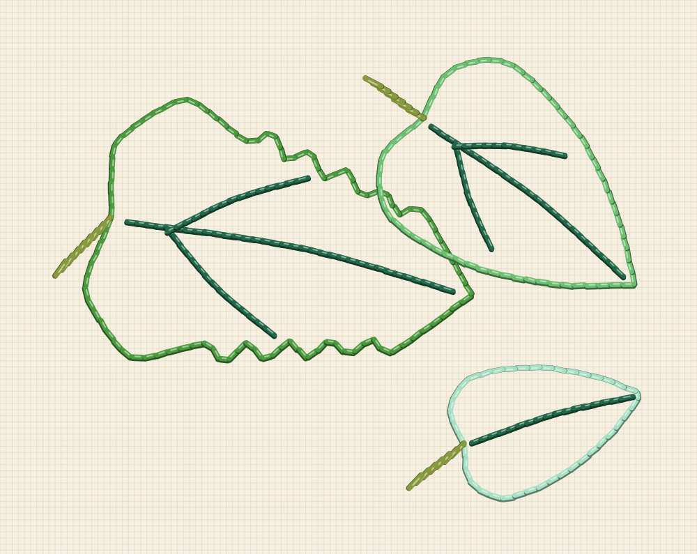 Embroidery study of three heart shaped sunflower leaves, one with toothed edges and full veins, one smooth and one young